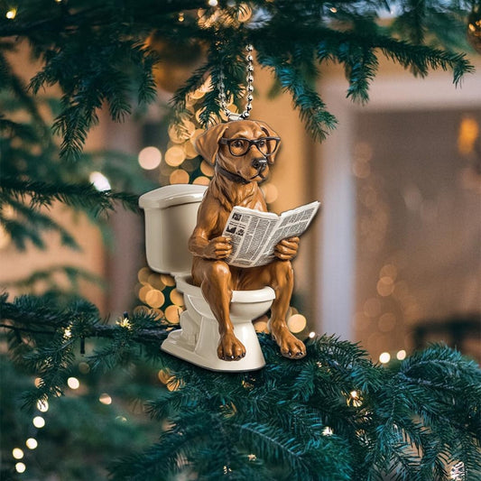 Rhodesian Ridgeback - Dog Sitting On Toilet Ornament OT033