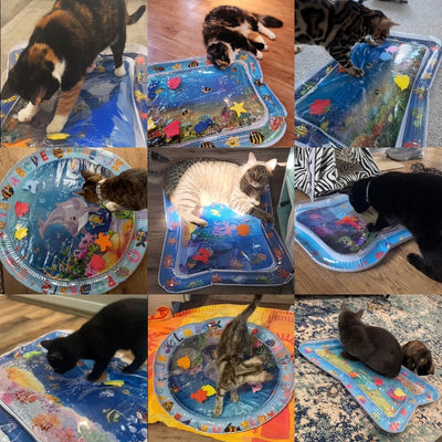 Pet Water Sensory Mat