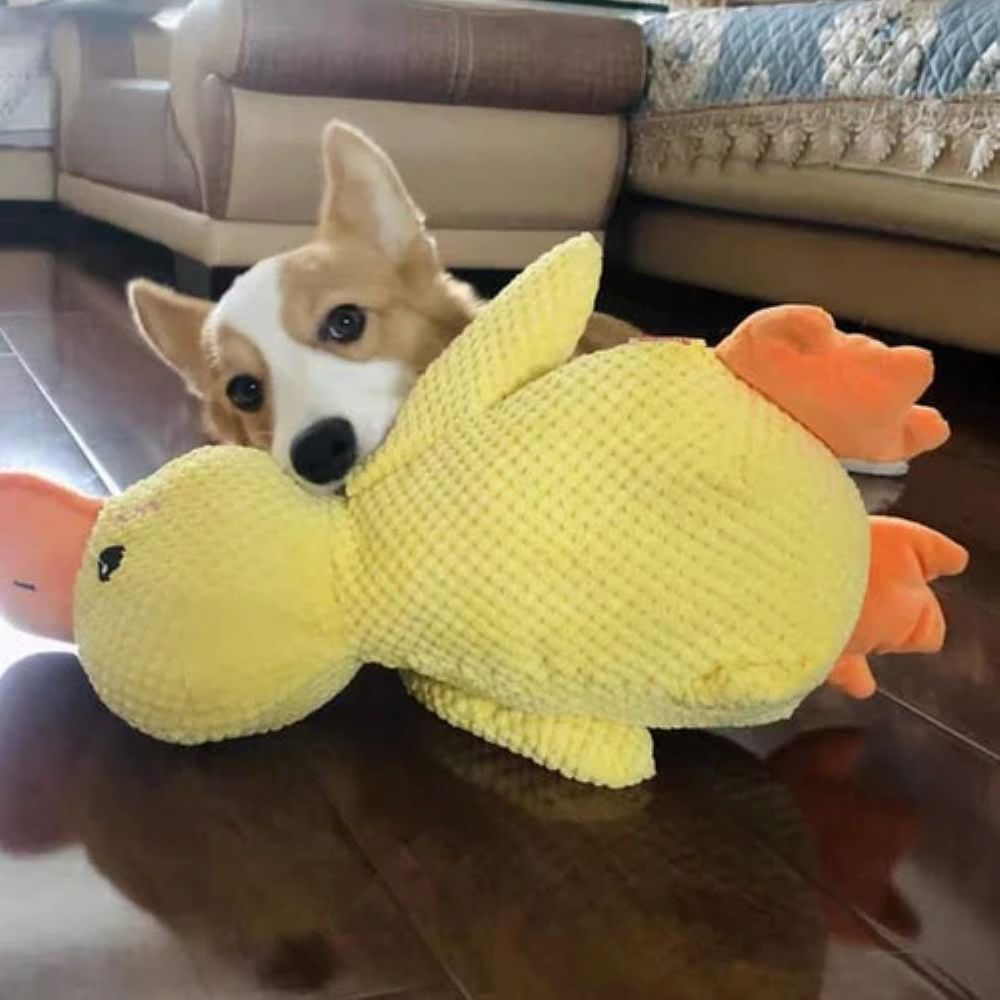 Calming Duck Plush Toy For Dogs – Anxiety Relief & Comfort Toy