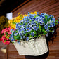 Rainproof Lifelike Artificial Flowers With UV-Shield Coating