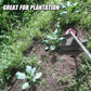 Weeding Disc