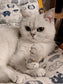 Fur-ever Loved Cat Hair Memorial Pendant