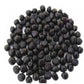 The Sacred Bonsai Bowl Lotus Flower Seeds