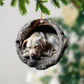 Labrador Retriever - Animal Christmas Ornament CH191
