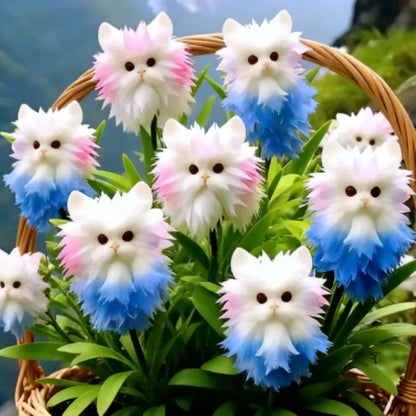 Cat's Eye Dazzling Seeds
