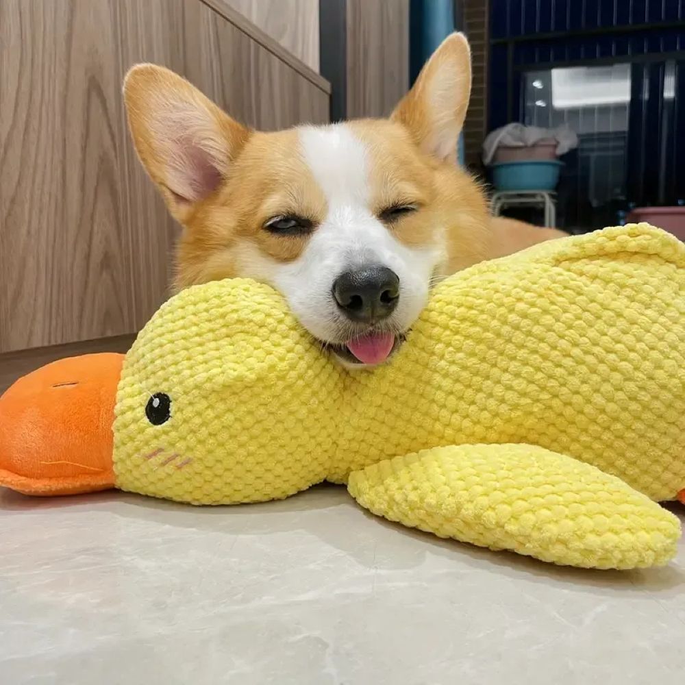 Calming Duck Plush Toy For Dogs – Anxiety Relief & Comfort Toy