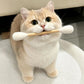 Extra-Large Catnip - Bite-Resistant Wool Felt Stick