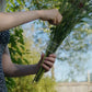Spiral Ikebana Stem Holder