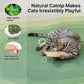Catnip Sisal Pillow Toy