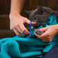 Cat Carrier Pouch