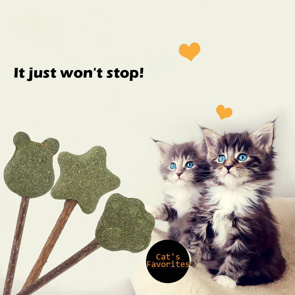 Mint Catnip Dental Chew Stick – Natural Silvervine Teething & Breath Freshening Cat Toy
