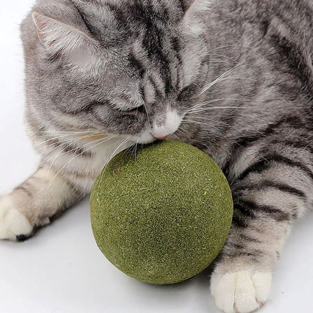 Giant Catnip Ball - Extra Large 10cm+ Jumbo Size for Cats