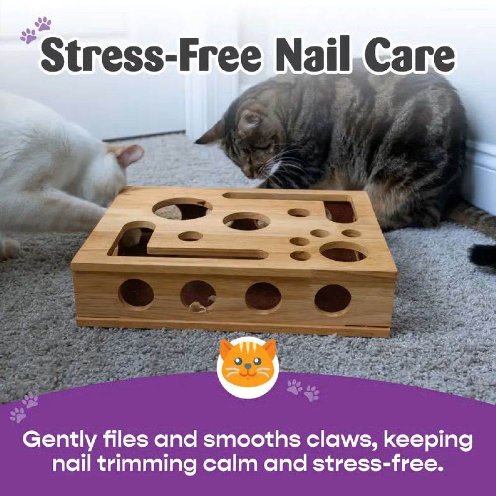 Cat Scratch Puzzle Enrichment Box: Nail File Stress Free Alternative to Clippers and Grinders