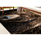 Realistic Bear Face - Wildlife Animal Area Rug - H631