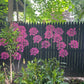 Garden Fence Large Flower Stencils DIY Decoration BloomTrace