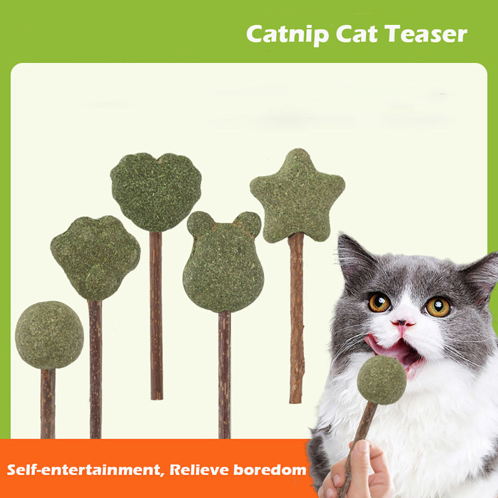 Mint Catnip Dental Chew Stick – Natural Silvervine Teething & Breath Freshening Cat Toy