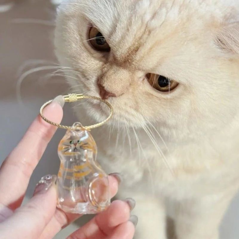 Yopoll Cat Memorial Keychain Set