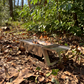 Folding BBQ