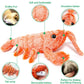 Wiggly Lobster - Interactive Dog Toy