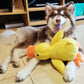 Calming Duck Plush Toy For Dogs – Anxiety Relief & Comfort Toy