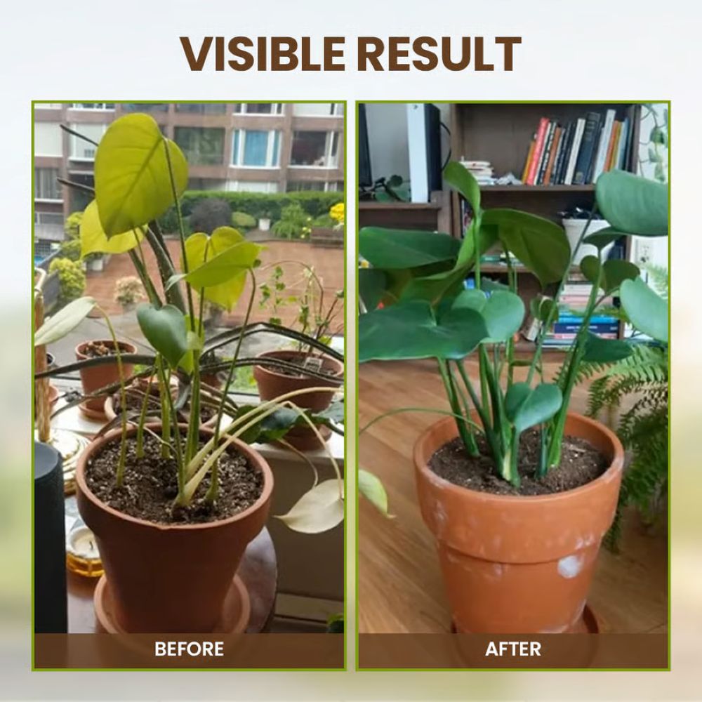 Soil Pro Activator