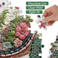 Wave Spirit Jigsaw Puzzle 1000 Pieces - Turtle
