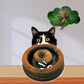 Foldable Cat Scratching Board With Bell Accordion