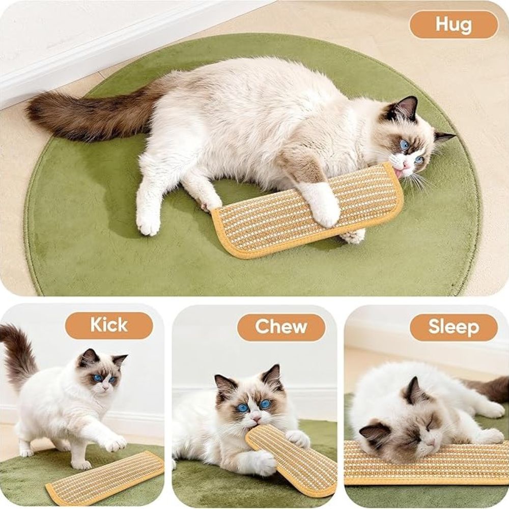 Catnip Sisal Pillow Toy