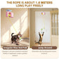 Automatic Electric Cat Teaser Toy With Rising & Falling Motion