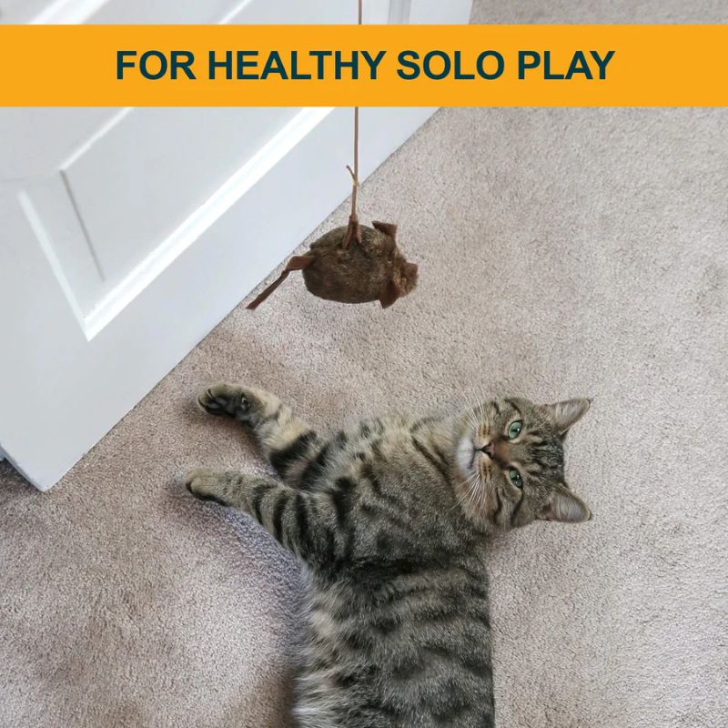 Realistic Mouse Cat Toy Set 2 Pieces