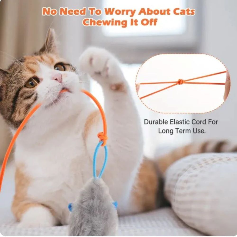 Door Hanging Interactive Pet Toy – Automatic Swing & Bounce Tease