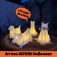Glowing Ghost Dog
