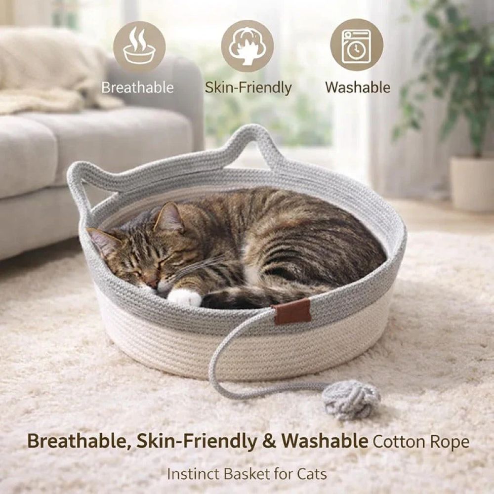 Sleep Scratch Play Basket