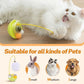 Wobble Pet Toy with Feather & Catnip