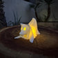 Glowing Ghost Dog