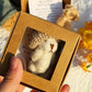 Handmade Mini Plush Teddy Bear in Box