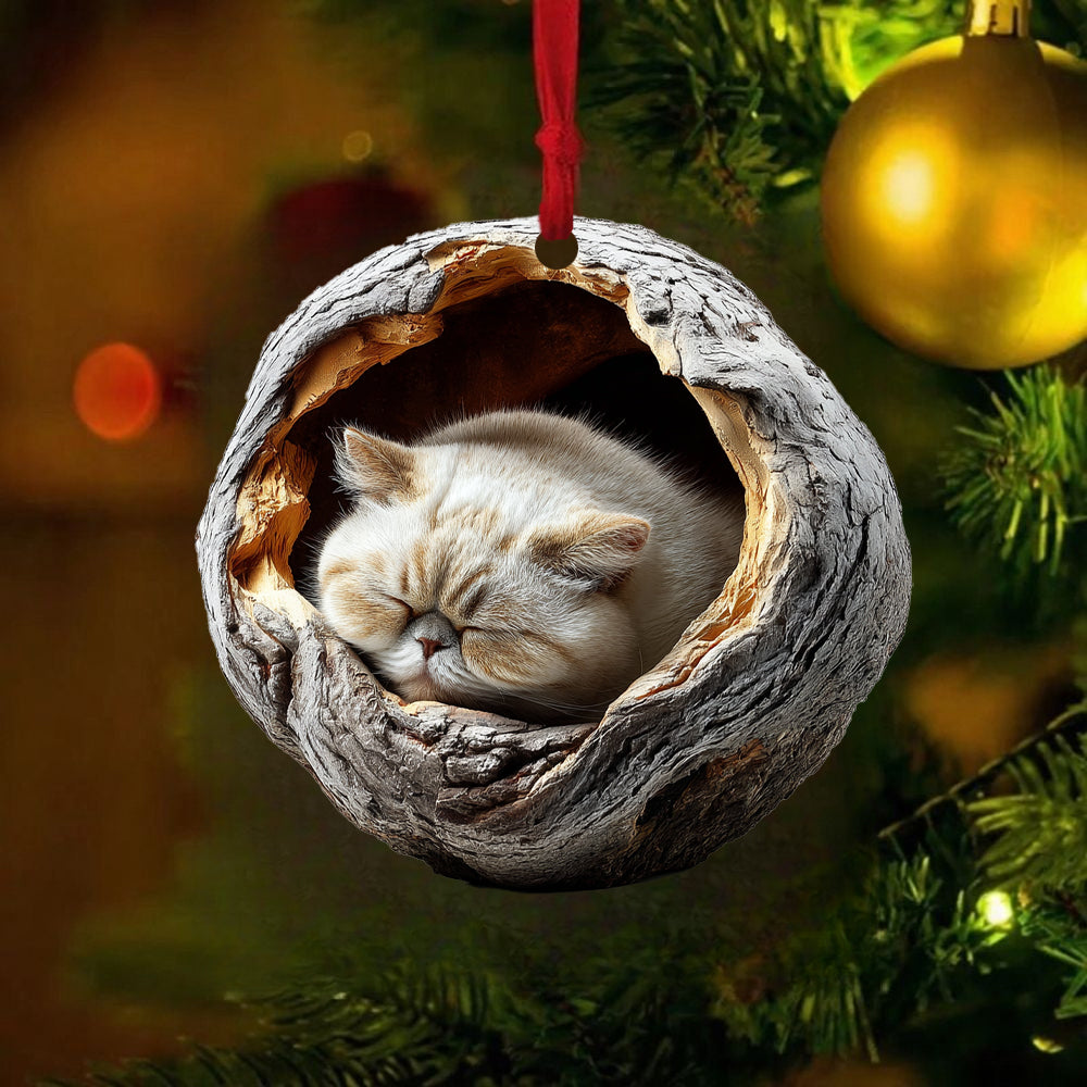 Exotic Shorthair Cat - Animal Christmas Ornament CH246