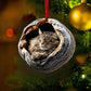 Maine Coon Cat - Animal Christmas Ornament CH250