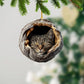 Tabby Cat - Animal Christmas Ornament CH264