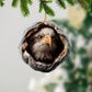 Bald Eagle - Animal Christmas Ornament CH270
