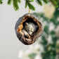 Bear - Animal Christmas Ornament CH273