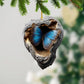 Blue Morpho Butterfly - Animal Christmas Ornament CH276