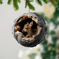 Deer - Animal Christmas Ornament CH288