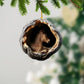 Horse - Animal Christmas Ornament CH295
