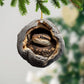 Snake - Animal Christmas Ornament CH320