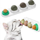 Catnip Toys Balls 4 Pcs