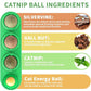 Catnip Toys Balls 4 Pcs