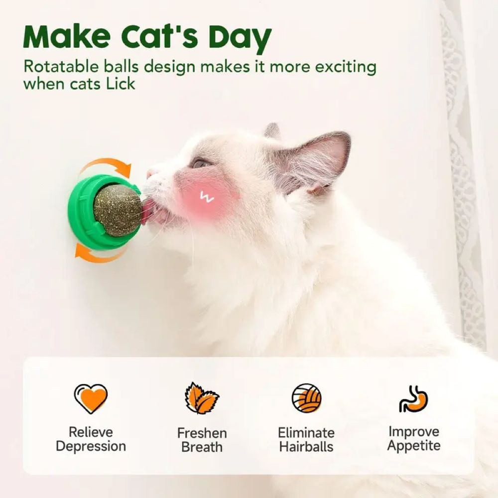 Catnip Toys Balls 4 Pcs