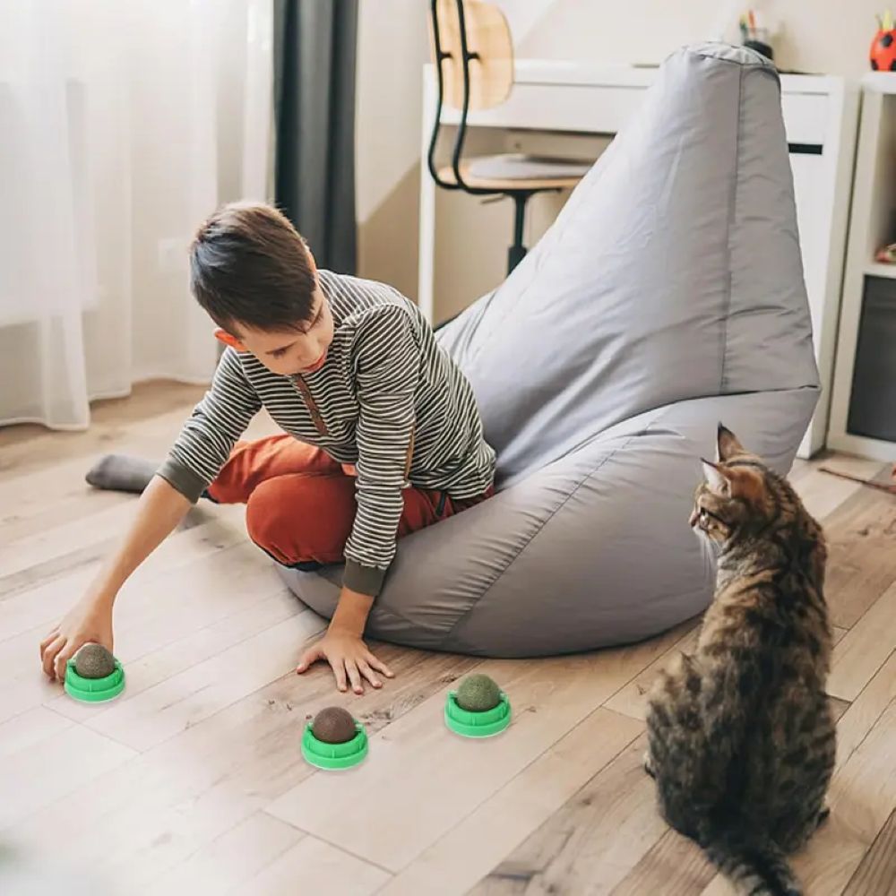 Catnip Toys Balls 4 Pcs