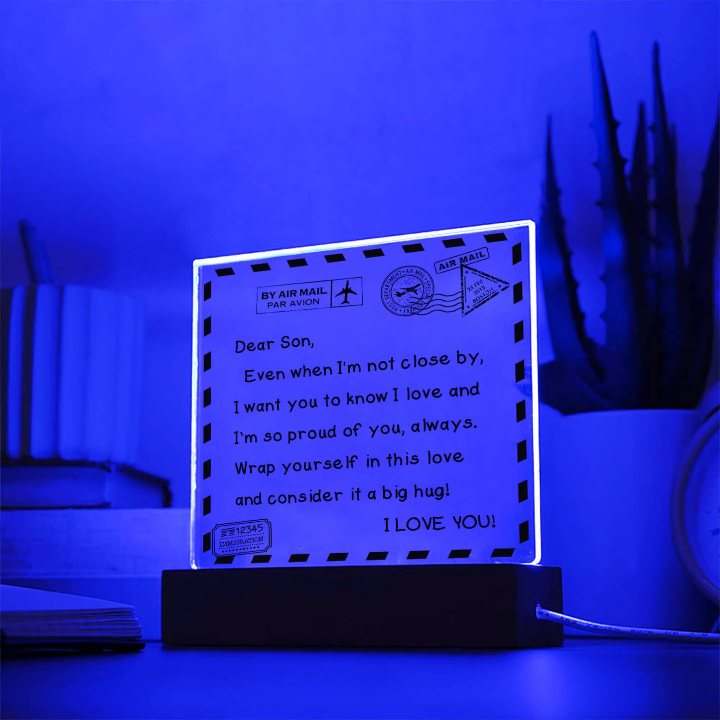 To My Son - I Love You - D351 -  LED Acrylic Plaque